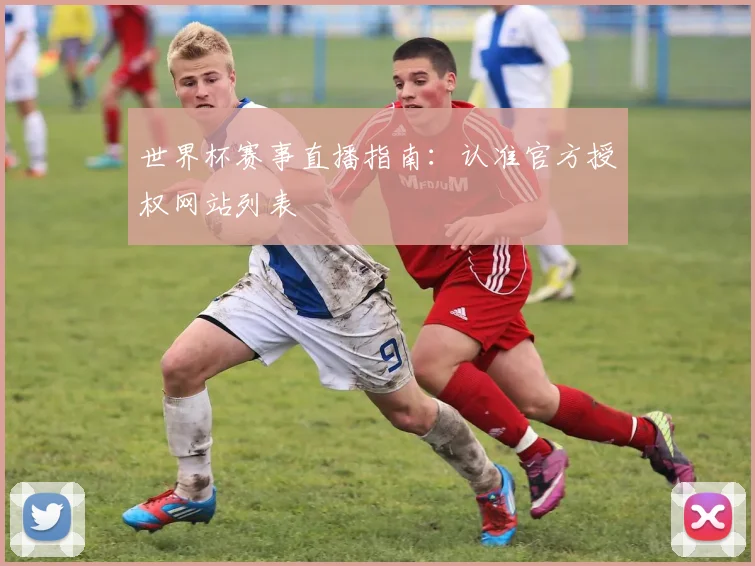 世界杯赛事直播指南:认准官方授权网站列表