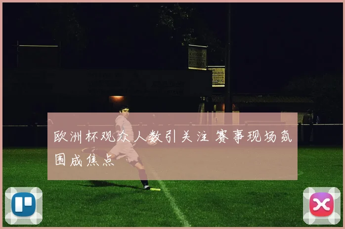 欧洲杯观众人数引关注 赛事现场氛围成焦点