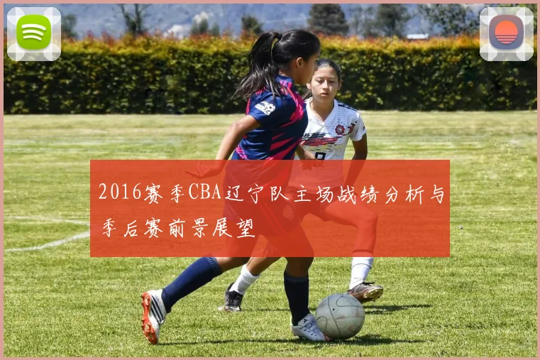2016赛季CBA辽宁队主场战绩分析与季后赛前景展望