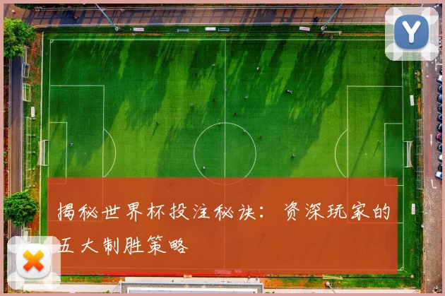 揭秘世界杯投注秘诀:资深玩家的五大制胜策略