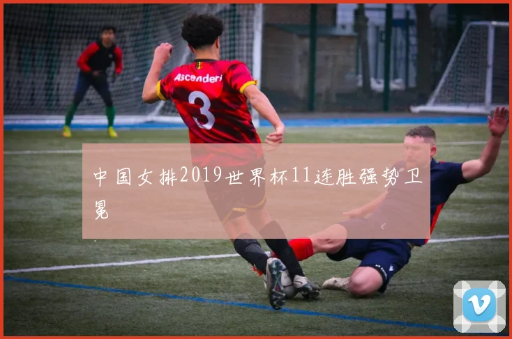 中国女排2019世界杯11连胜强势卫冕