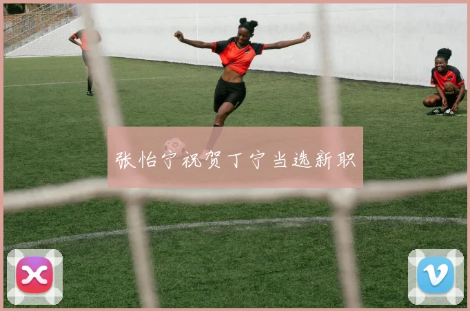 张怡宁祝贺丁宁当选新职