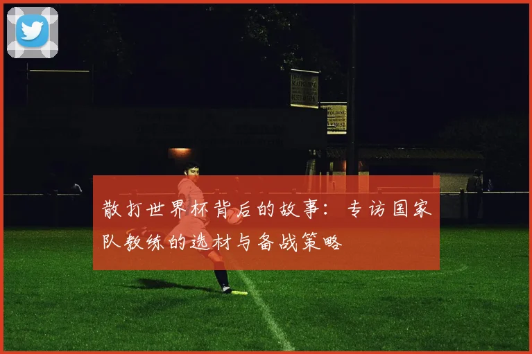 散打世界杯背后的故事:专访国家队教练的选材与备战策略