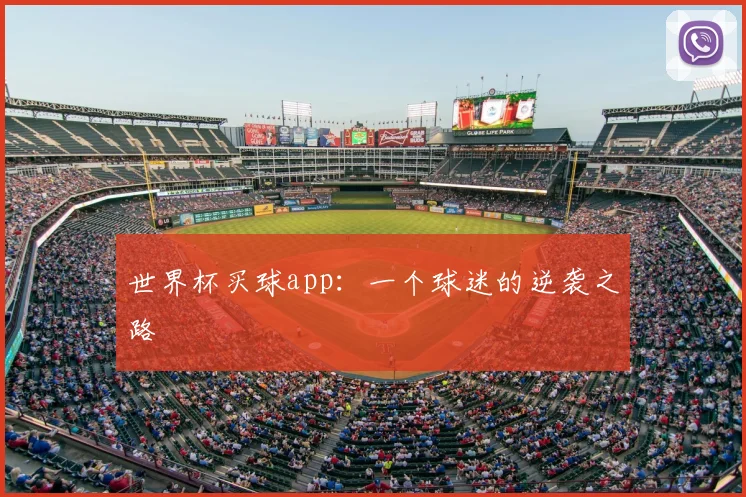 世界杯买球app:一个球迷的逆袭之路