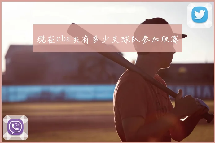 现在cba共有多少支球队参加联赛