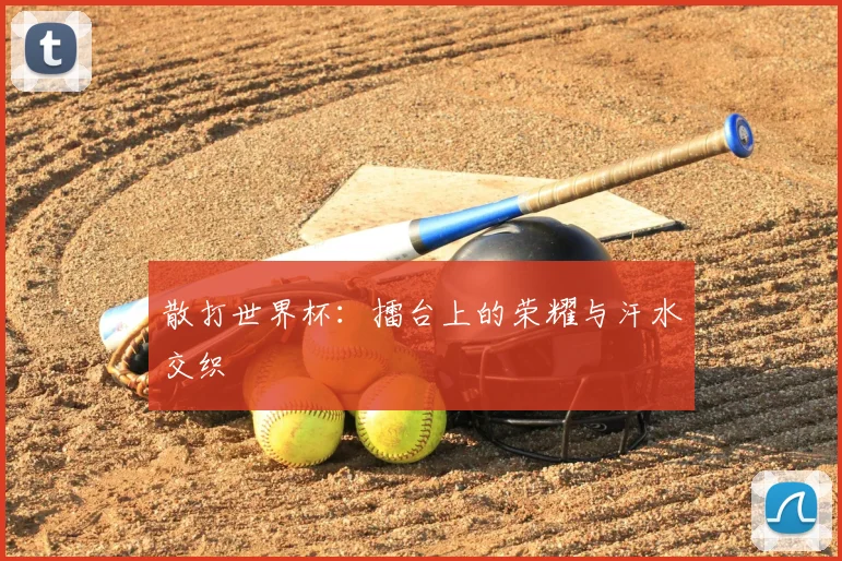 散打世界杯：擂台上的荣耀与汗水交织