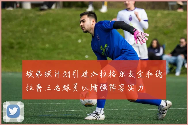 埃弗顿计划引进加拉格尔麦金和德拉普三名球员以增强阵容实力