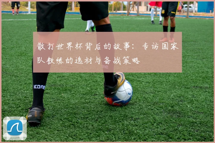 散打世界杯背后的故事：专访国家队教练的选材与备战策略