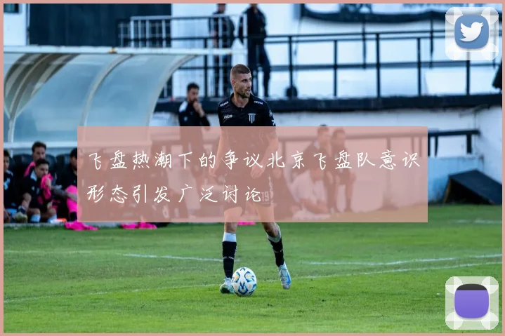 飞盘热潮下的争议北京飞盘队意识形态引发广泛讨论
