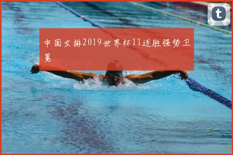 中国女排2019世界杯11连胜强势卫冕