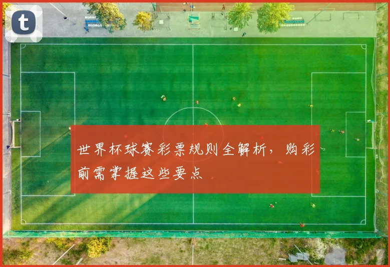 世界杯球赛彩票规则全解析,购彩前需掌握这些要点