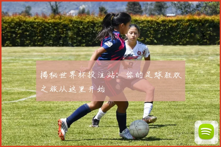 揭秘世界杯投注站：你的足球狂欢之旅从这里开始