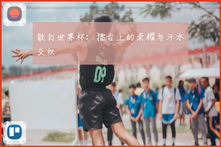散打世界杯：擂台上的荣耀与汗水交织