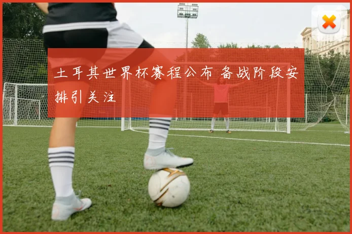 土耳其世界杯赛程公布 备战阶段安排引关注